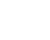 Tenacious Labs